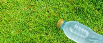 Tómele agua, comadre Tómele agua, comadre