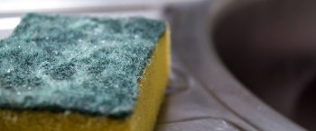 Sigue estos tips para eliminar el mal olor de tus trastes Sigue estos tips para eliminar el mal olor de tus trastes
