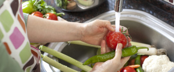 ¡Desinfecta tus verduras sin batallar tanto! ¡Desinfecta tus verduras sin batallar tanto!
