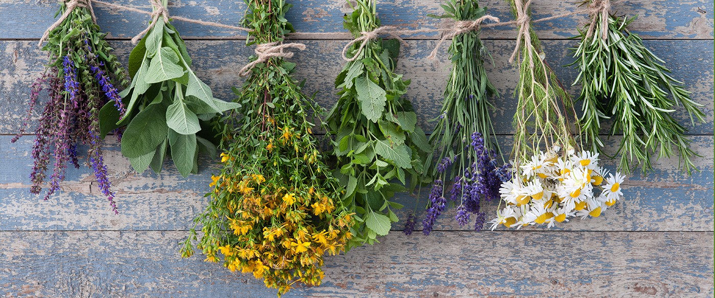 Aprende a plantar hierbas aromáticas en casa