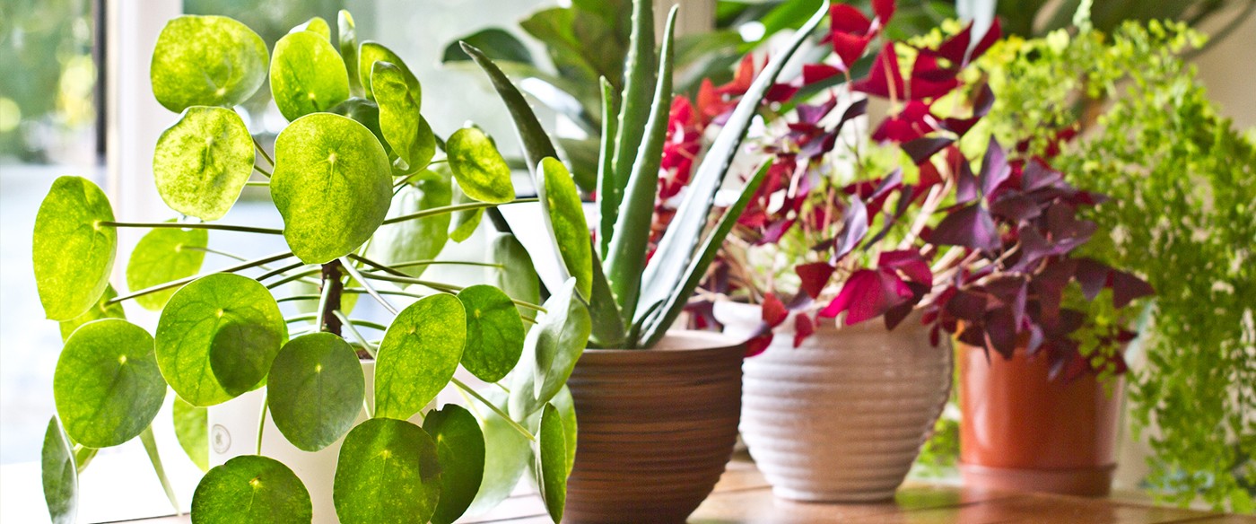 5 consejos para decorar que darán armonía a tu hogar